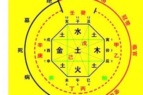 八字守護神|生辰八字算命、五行喜用神查詢（免費測算）